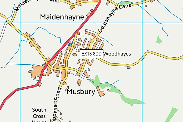 EX13 8DD map - OS VectorMap District (Ordnance Survey)