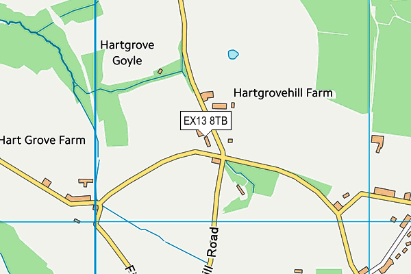 EX13 8TB map - OS VectorMap District (Ordnance Survey)