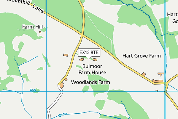 EX13 8TE map - OS VectorMap District (Ordnance Survey)