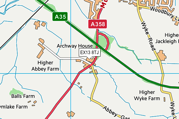 EX13 8TJ map - OS VectorMap District (Ordnance Survey)