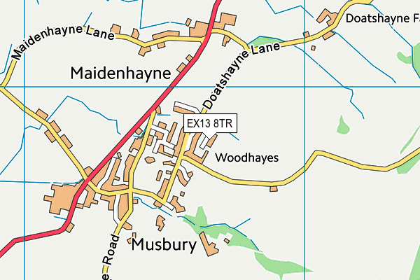 EX13 8TR map - OS VectorMap District (Ordnance Survey)