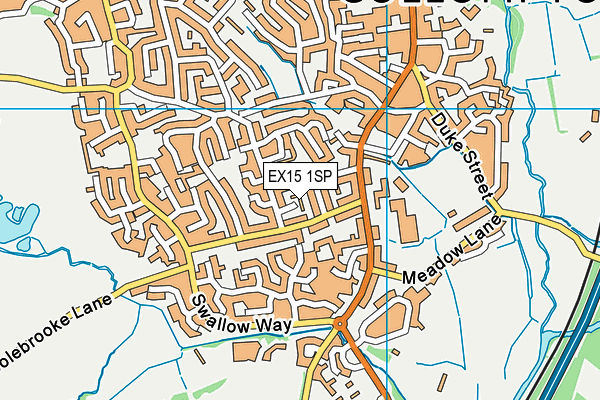 EX15 1SP map - OS VectorMap District (Ordnance Survey)