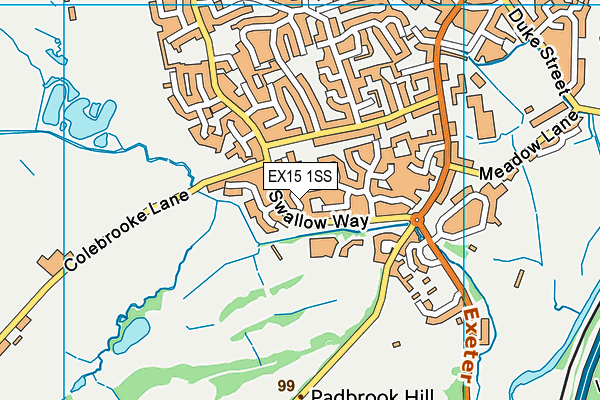 EX15 1SS map - OS VectorMap District (Ordnance Survey)