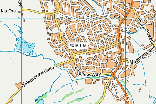 EX15 1UA map - OS VectorMap District (Ordnance Survey)