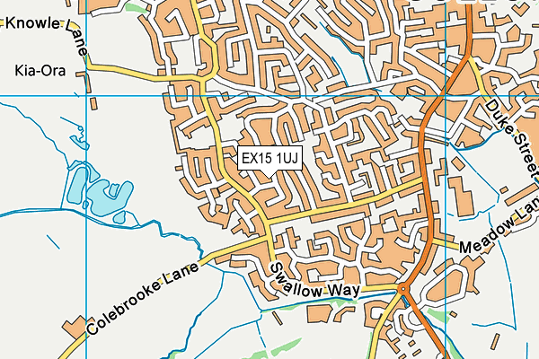 EX15 1UJ map - OS VectorMap District (Ordnance Survey)