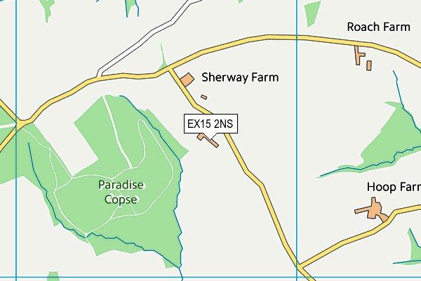 EX15 2NS map - OS VectorMap District (Ordnance Survey)