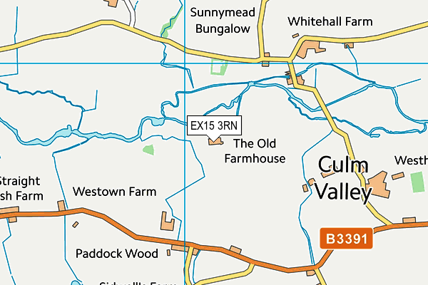 EX15 3RN map - OS VectorMap District (Ordnance Survey)