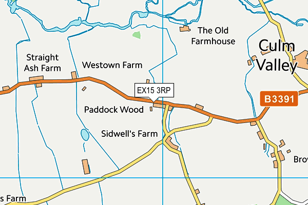 EX15 3RP map - OS VectorMap District (Ordnance Survey)