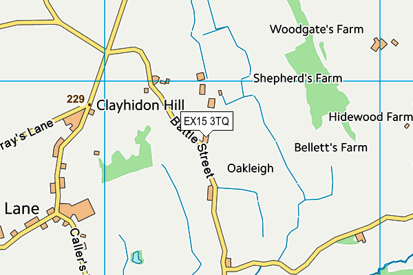 EX15 3TQ map - OS VectorMap District (Ordnance Survey)