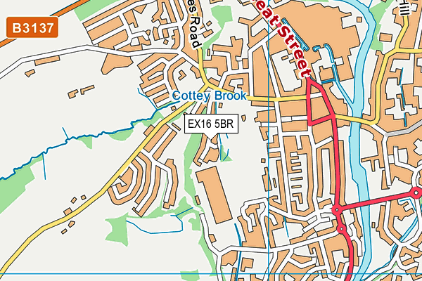 EX16 5BR map - OS VectorMap District (Ordnance Survey)