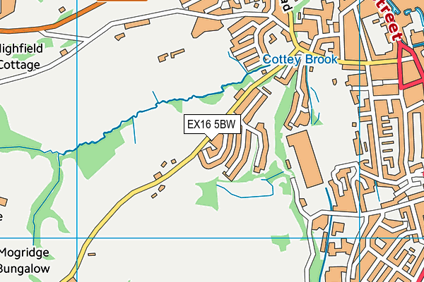 EX16 5BW map - OS VectorMap District (Ordnance Survey)