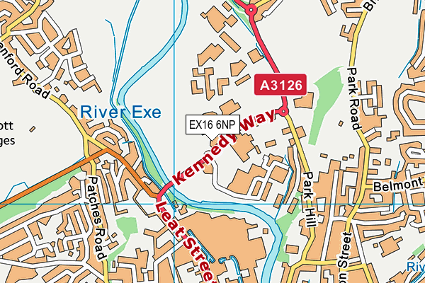 EX16 6NP map - OS VectorMap District (Ordnance Survey)