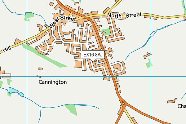 EX16 8AJ map - OS VectorMap District (Ordnance Survey)