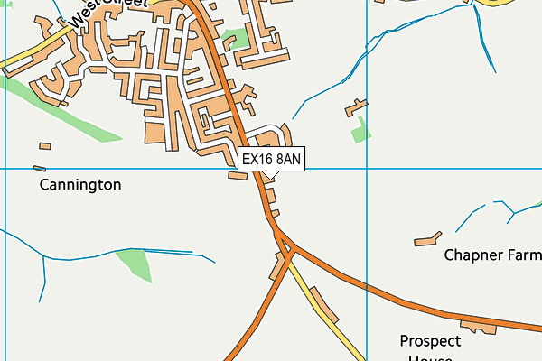 EX16 8AN map - OS VectorMap District (Ordnance Survey)