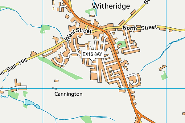 EX16 8AY map - OS VectorMap District (Ordnance Survey)