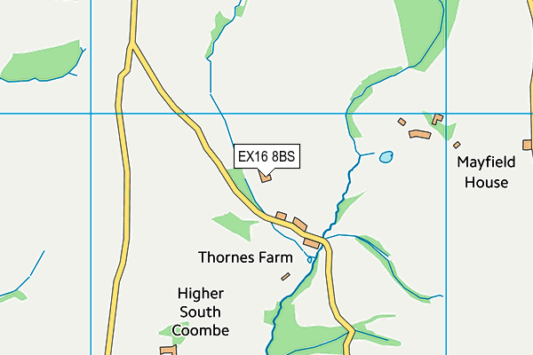 EX16 8BS map - OS VectorMap District (Ordnance Survey)