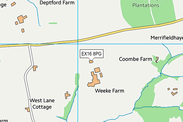 EX16 8PG map - OS VectorMap District (Ordnance Survey)