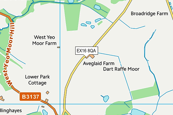 EX16 8QA map - OS VectorMap District (Ordnance Survey)