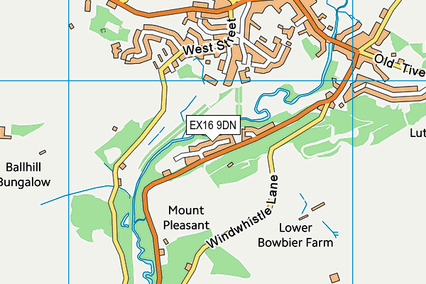 EX16 9DN map - OS VectorMap District (Ordnance Survey)