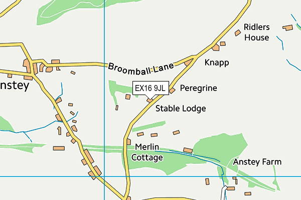 EX16 9JL map - OS VectorMap District (Ordnance Survey)