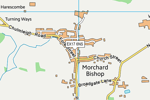 EX17 6NS map - OS VectorMap District (Ordnance Survey)