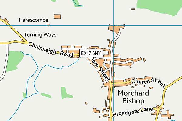 EX17 6NY map - OS VectorMap District (Ordnance Survey)