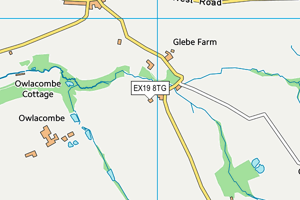 EX19 8TG map - OS VectorMap District (Ordnance Survey)