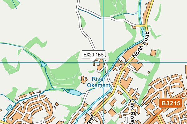 EX20 1BS map - OS VectorMap District (Ordnance Survey)