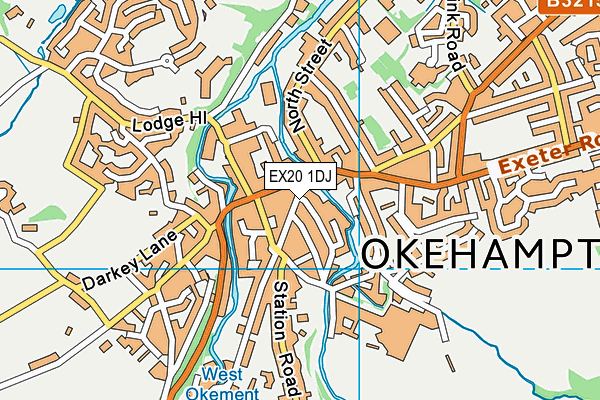 EX20 1DJ map - OS VectorMap District (Ordnance Survey)