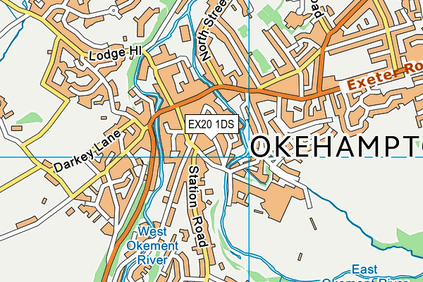 EX20 1DS map - OS VectorMap District (Ordnance Survey)