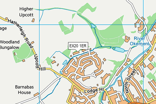EX20 1ER map - OS VectorMap District (Ordnance Survey)