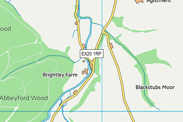 EX20 1RP map - OS VectorMap District (Ordnance Survey)