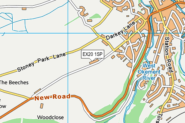 EX20 1SP map - OS VectorMap District (Ordnance Survey)