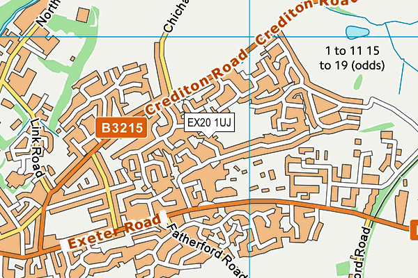 EX20 1UJ map - OS VectorMap District (Ordnance Survey)