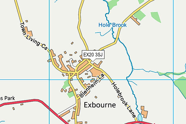 EX20 3SJ map - OS VectorMap District (Ordnance Survey)