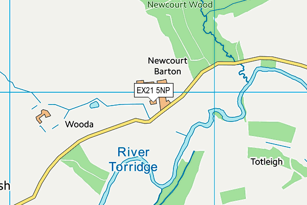 EX21 5NP map - OS VectorMap District (Ordnance Survey)