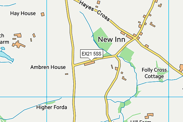 EX21 5SS map - OS VectorMap District (Ordnance Survey)