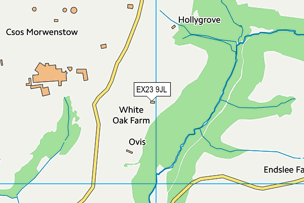 EX23 9JL map - OS VectorMap District (Ordnance Survey)