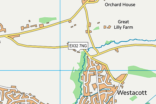 EX32 7NG map - OS VectorMap District (Ordnance Survey)