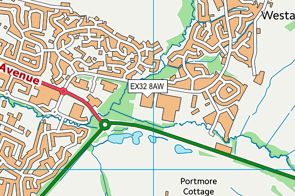 EX32 8AW map - OS VectorMap District (Ordnance Survey)