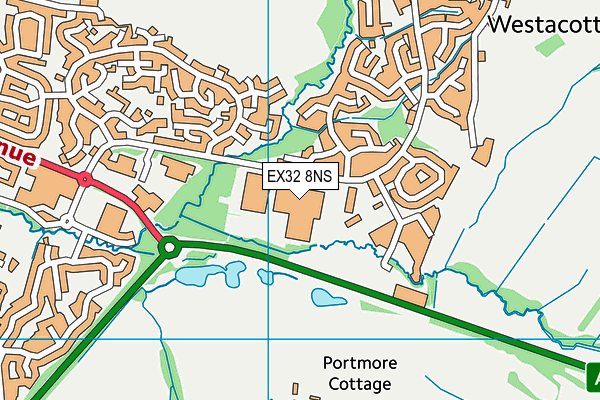 EX32 8NS map - OS VectorMap District (Ordnance Survey)