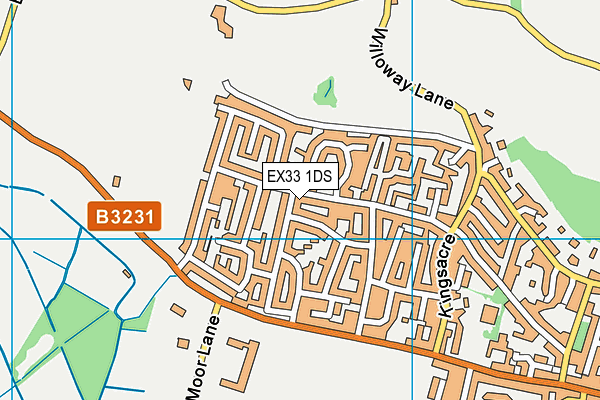 EX33 1DS map - OS VectorMap District (Ordnance Survey)