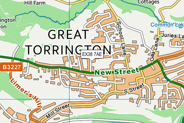 EX38 7AE map - OS VectorMap District (Ordnance Survey)