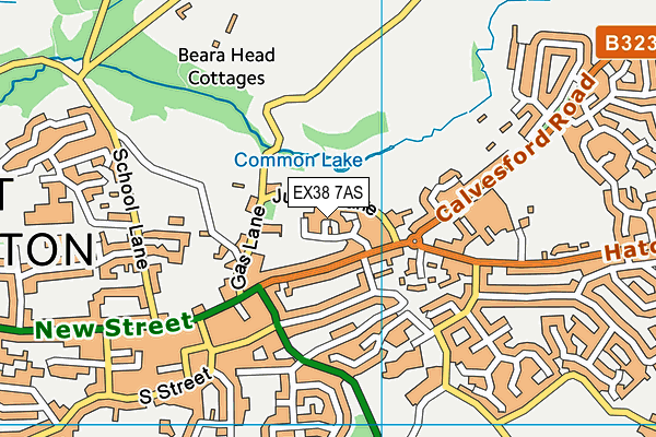 EX38 7AS map - OS VectorMap District (Ordnance Survey)