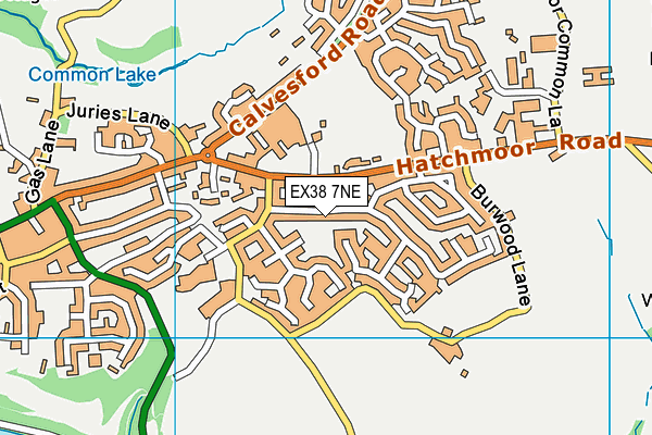 EX38 7NE map - OS VectorMap District (Ordnance Survey)