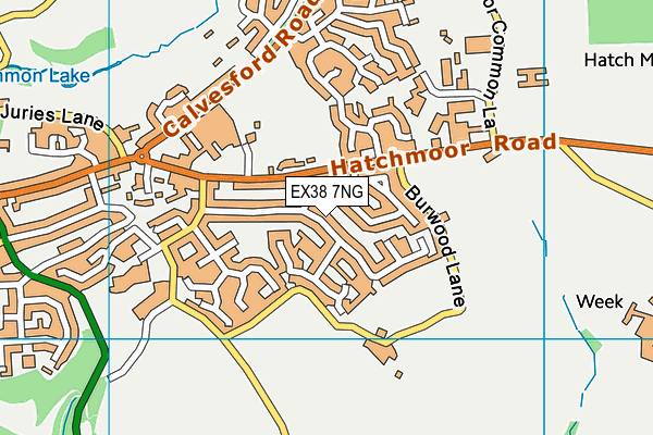 EX38 7NG map - OS VectorMap District (Ordnance Survey)