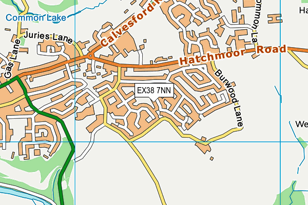 EX38 7NN map - OS VectorMap District (Ordnance Survey)