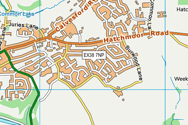EX38 7NP map - OS VectorMap District (Ordnance Survey)
