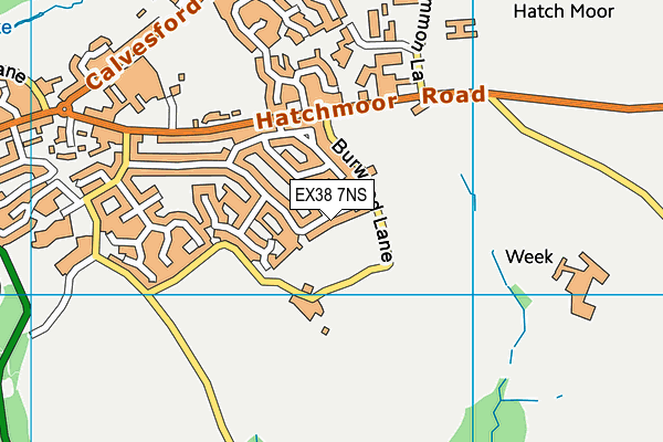EX38 7NS map - OS VectorMap District (Ordnance Survey)