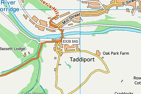 EX38 8AS map - OS VectorMap District (Ordnance Survey)